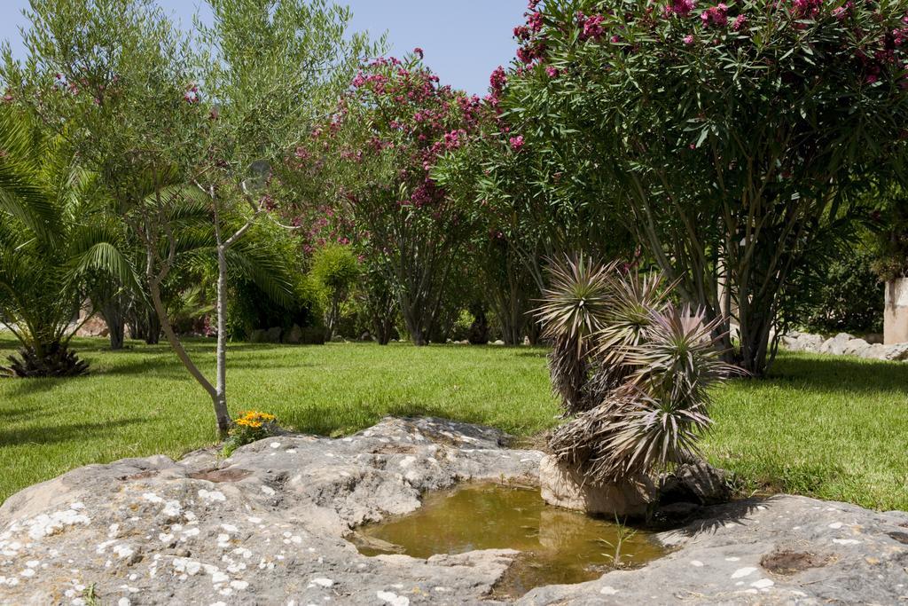 Agroturismo Can Patro Guest House มานากอร์ ภายนอก รูปภาพ